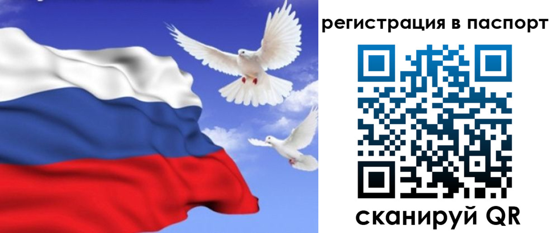 купить прописку в Камчатской области